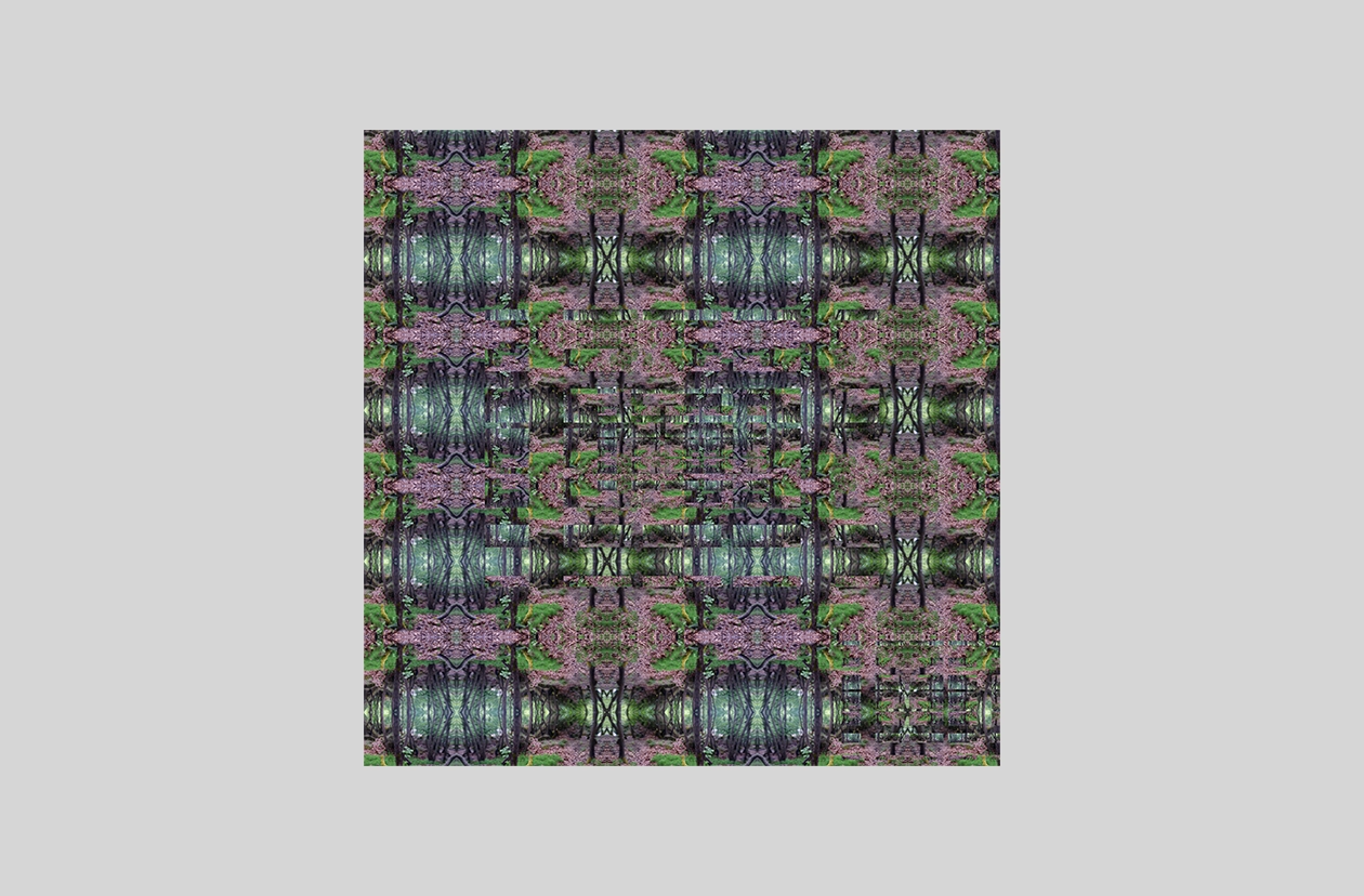 athnsplos_flowers_landscape